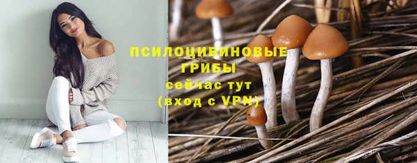 первитин Беломорск
