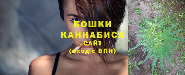 молекула духа Белокуриха