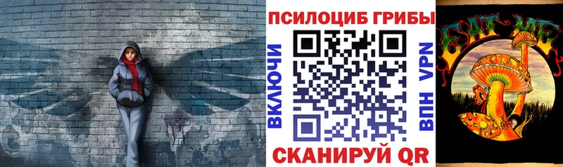 Галлюциногенные грибы Psilocybe сайты даркнета официальный сайт Кондопога