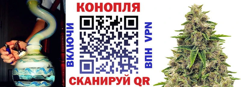 omg как найти закладки Кондопога Бошки марихуана Ganja